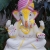 eco-ganesha-1
