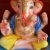 ecoganesha-2