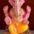 ecoganesha-4