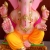 ecoganesha-5
